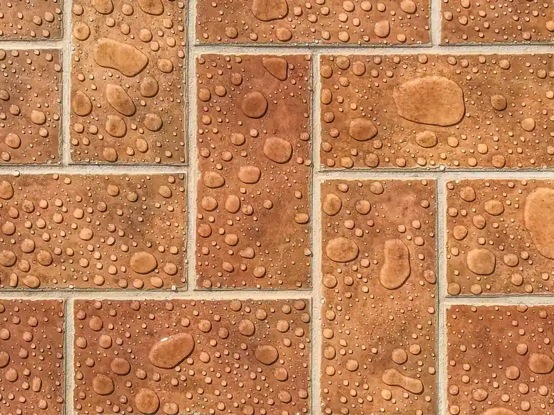 Gouttes d'eau perlant sur des carreaux en terre cuite